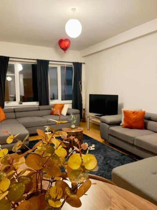Beautiful Central Open Plan Living! مانشستر المظهر الخارجي الصورة